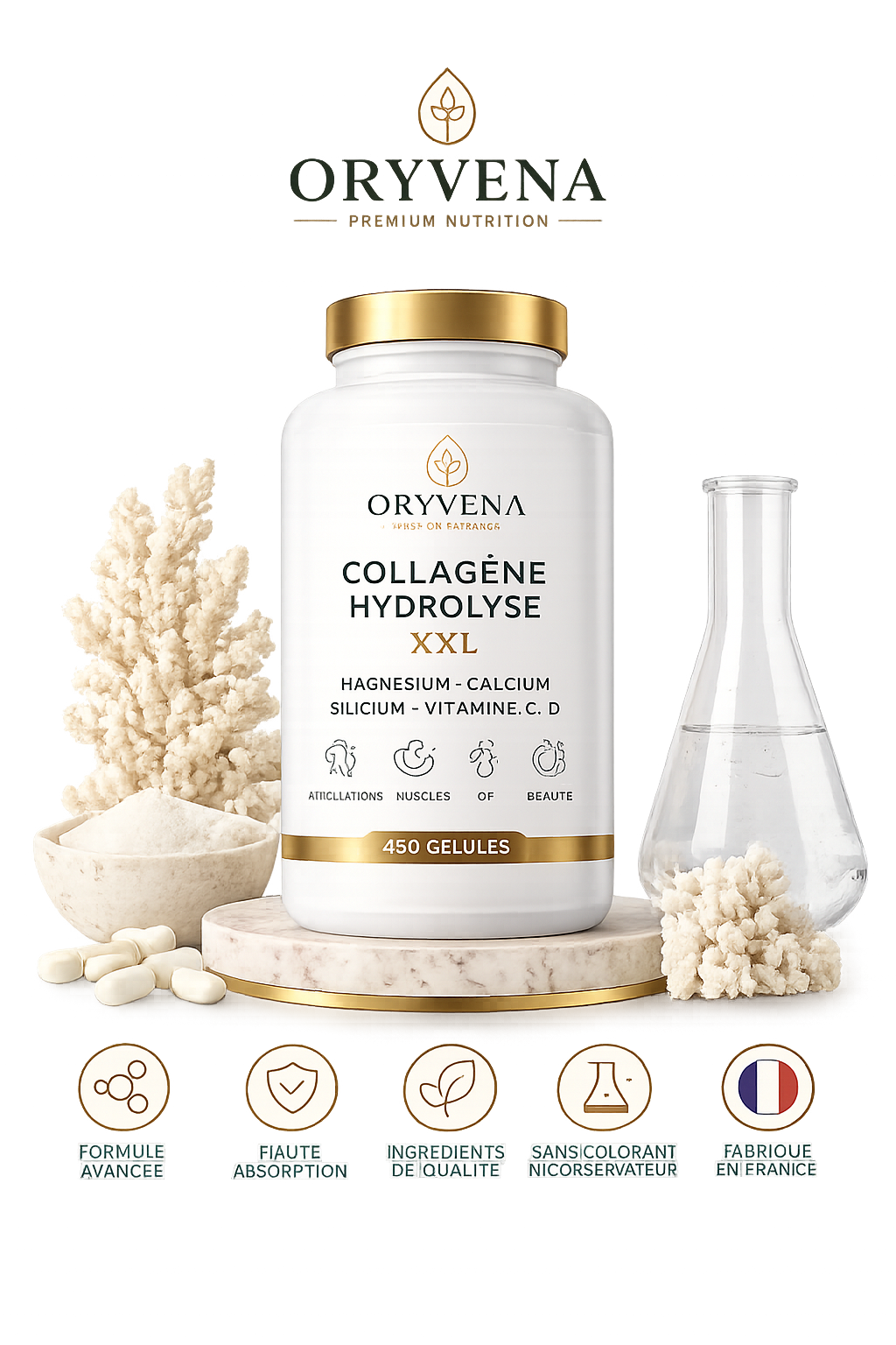 Collagène Hydrolisé XLLL