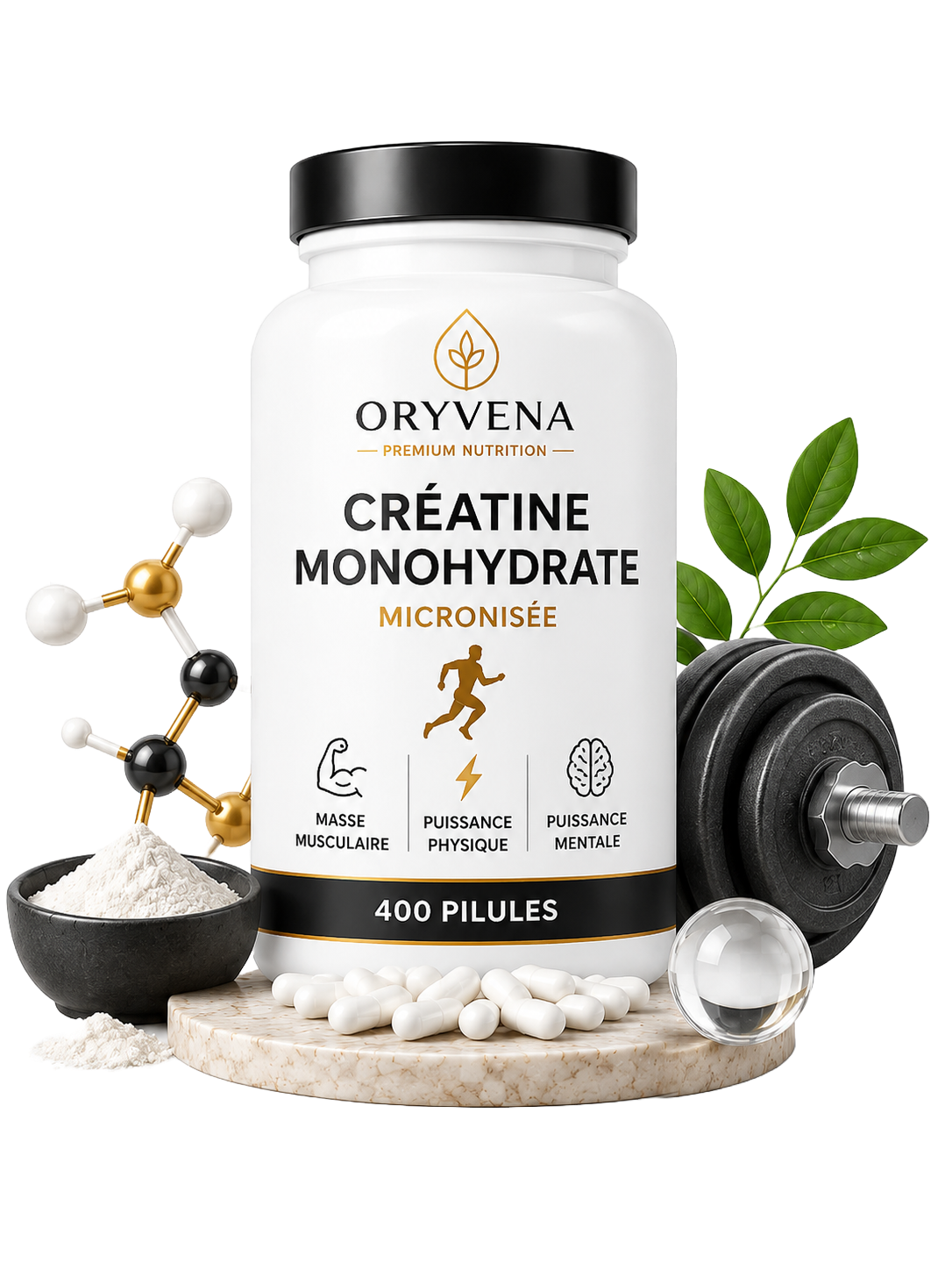 Créatine Monohydrate • Micronisée